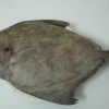 Black pomfret 1