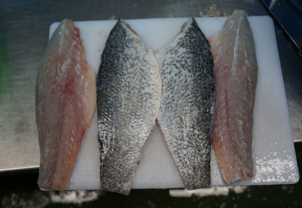 Barramundi ( Letes calcarifer ) fillet 2