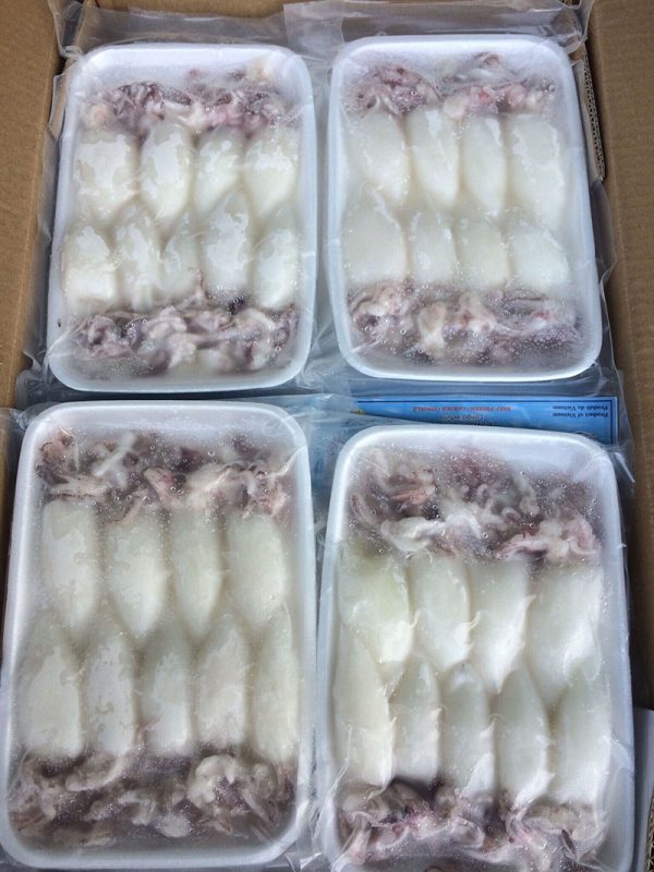 Whole cleaned squid