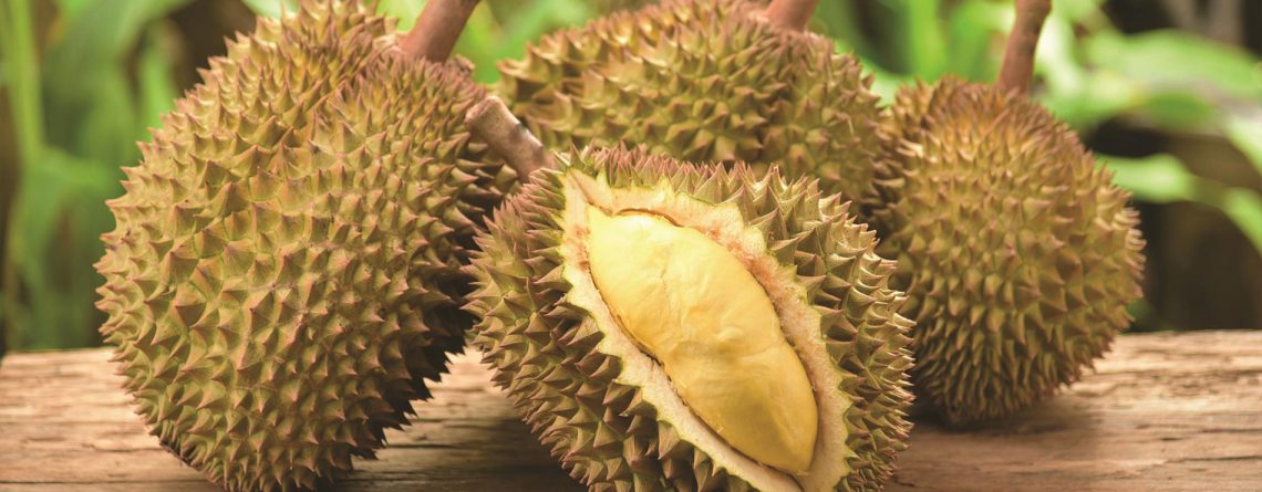 Vinh Phat Food - Durian