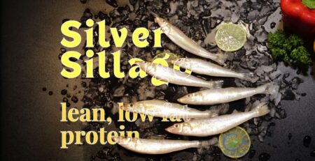 Vinh Phat Food - Silver Sillago Lean Low Fat Protein Source