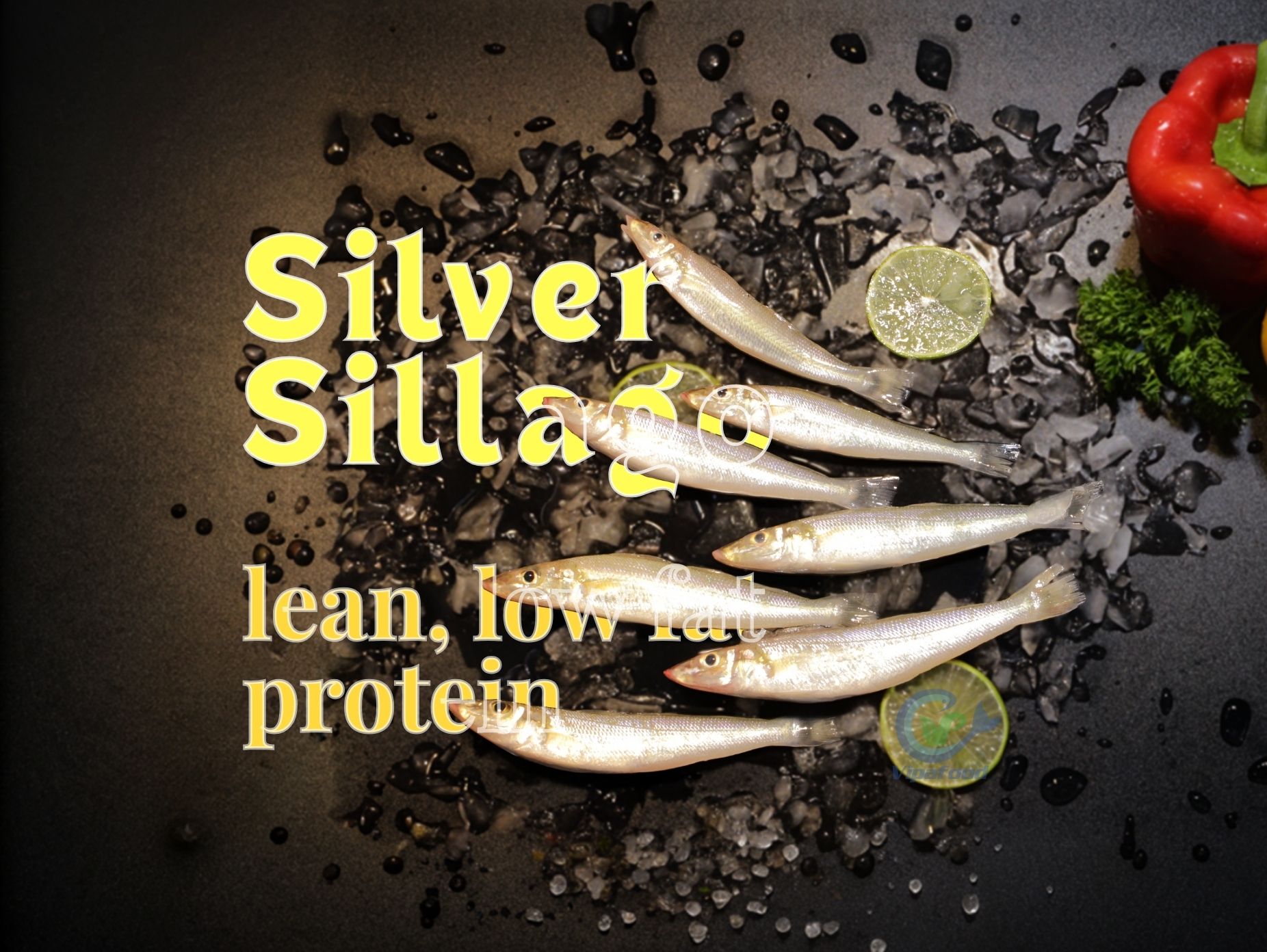 Vinh Phat Food - Silver Sillago Lean Low Fat Protein Source